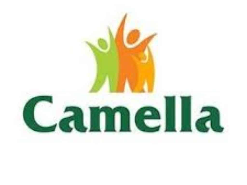 camella-homes-philippine-real-estate-developers-lionunion